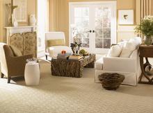 carpet sales, carpet installation, new pad installation, mobile showroom